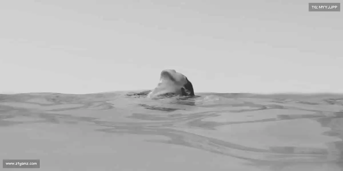 米兰milan运动不止，青春不息 —— 你的热血主场等你点燃🔥